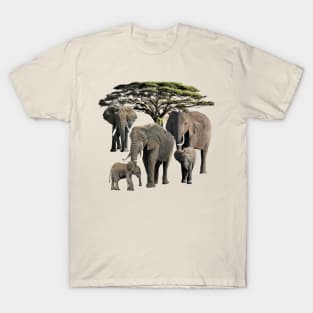 Elephant Mamas with Babies in Africa T-Shirt